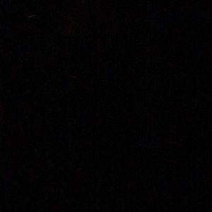 Meet your Posher, Bianca